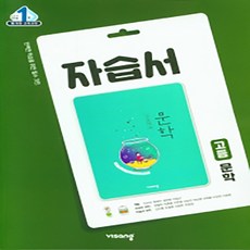 비상고등문학자습서