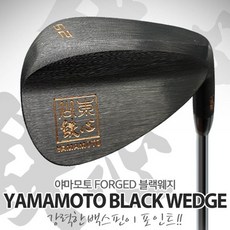 철심웨지