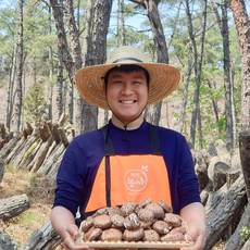 자연산표고버섯