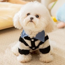 쁘띠도그 반려동물 체셔 덤블 자켓, 블랙, 1개