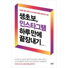 생초보 인스타그램 하루 만에 끝장내기:요점만 골라 담은 인스타그램 마케팅 원포인트 과외, 라온북, 김서현 저