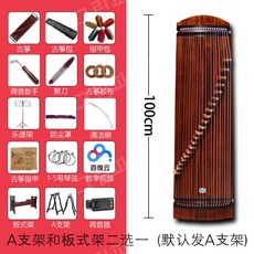 가야금전문가용