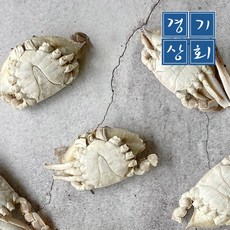 몽당꽃게