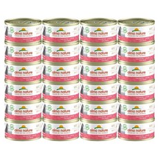 알모네이쳐 고양이 주식캔, 70g, 연어, 24개