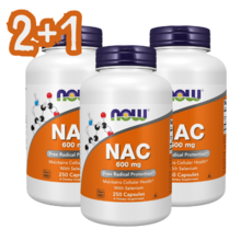 NAC 진해거담 만성기침 600mg 250정 2+1 나우푸드 정품