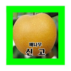 0c5bbdd5db9172f04c5eaa53fac0a4d2a592c176486bc54e389b8170a8e6.jpg