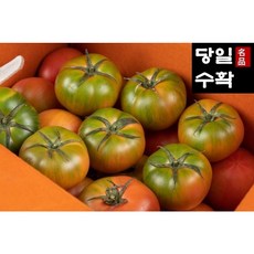 추천3대저짭짤이토마토