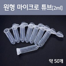 마사튜터