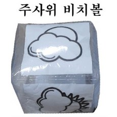 포켓비치볼