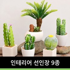 7d676fb16cd72b750487db4209c4a2e2215116bb32bd1bb04111f9fe0c1e.jpg