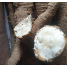 [BEST상품] 아삭한 식감 국산 더덕 특품 깐더덕, 1개, 횡성더덕 선물세트 (중 1kg 35~45개)