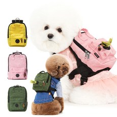 스니프워싱스퀘어