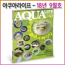 아쿠아플레이1547