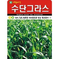 수단그라스 씨앗(700g)(A0014)