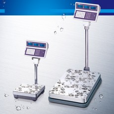 카스디럭스튀김기