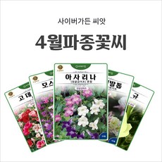 4월파종 추천종자 화단용 꽃씨 덩굴성 희귀종자 식용꽃