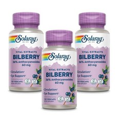 솔라레이 빌베리 추출물 60mg 캡슐, 3개, 120정