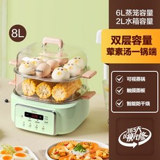 디온리전기찜기