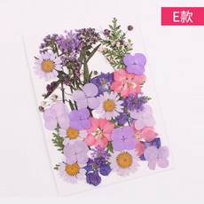 프레쉬영 핸드폰케이스 DIY 재료 식물 표본 일러스트스티커 점착고무 액세서리 유치원 초등 학교 핸드메이드 말린 꽃 가방