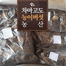 [차마고도농산]자연산 최상품 건조 능이버섯 1kg, 1개