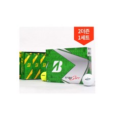 브리지스톤bg100l