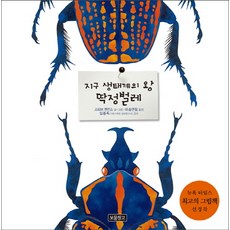 지구