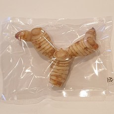 베트남1000동