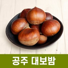 pgatouruv밤