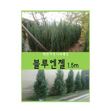6cb38741ca9afb4d7c2619b380a50cad6b71d66f97770263b649c4c5f0e4.jpg