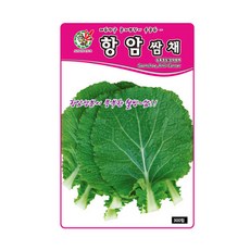 다듬배추