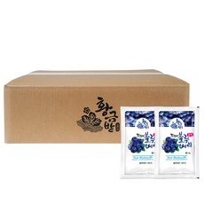 불루베리-추천-상품