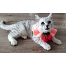 강아지모자손뜨개만들기