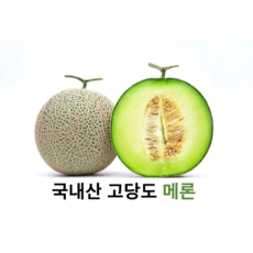 국내산 신선한 고당도 메론 6~7kg 국산 멜론 머스크멜론 세지멜론 나주멜론 꿀메론 세론멜론 프리미엄 멜론, 1개