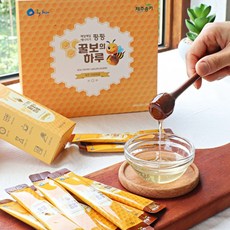꿀보의하루