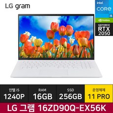 LG 그램16 16ZD90Q-EX56K RTX2050탑재 (Win11) / ICDI