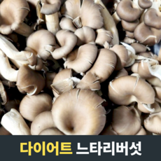 [다이어트] 느타리버섯 비타민풍부 탱탱한느타리버섯 신선한버섯 신선한느타리 오동통한느타리버섯 버섯요리, 1개, 3kg