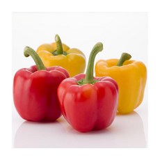 진주 영양만점 실속형 파프리카 1.5kg, ONE COLOR, ONE SIZE