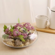 SAMHO GLASS 造型玻璃花盆, 透明, 1個