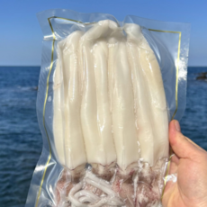 한달간 무료배송! 제주직송 자연산 한치 손질1kg (총 8~10미) 제철 한치물회 한치숙회 냉동한치 한치회, 1세트, 1kg (500gX2)