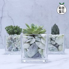 990a90cadaaa273f9446cf5ce054ea8045f1cb1f73a19d3bed958a042e12.jpg