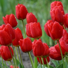 6588801a3d7688b49458f2ce2e4c30a3a91c272c2d736577ef44856d9e74.jpg