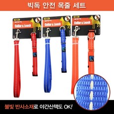 빅독치킨