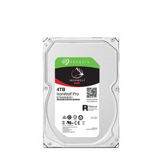 추가 씨게이트 Ironwolf Pro 4TB ST4000NE001 HDD NAS용 - st4000ne001