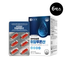 종근당 피부 보습엔 히알루론산 6박스 6개월분 피부보습 세포보호, 단품