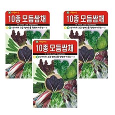 아람10종모듬쌈채 씨앗 쌈채소 혼합 종자, 3개