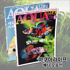 아쿠아라이프 베타, 18년6월