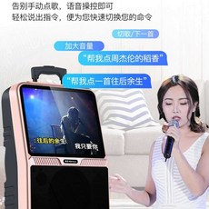캐리어노래방