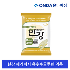여의도한강보트