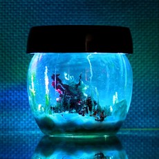 화학정원만들기