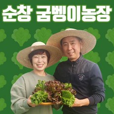 전북 순창 배정희 명품 로메인 상추 400g + 랜덤 쌈채소 100g, 1개